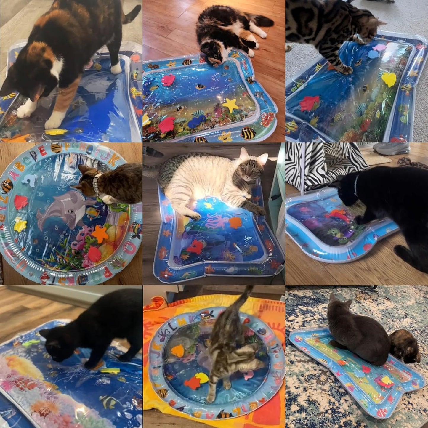 Cat Water Play Mat - Summer Sensory Splash Pad for Cooling & Fun