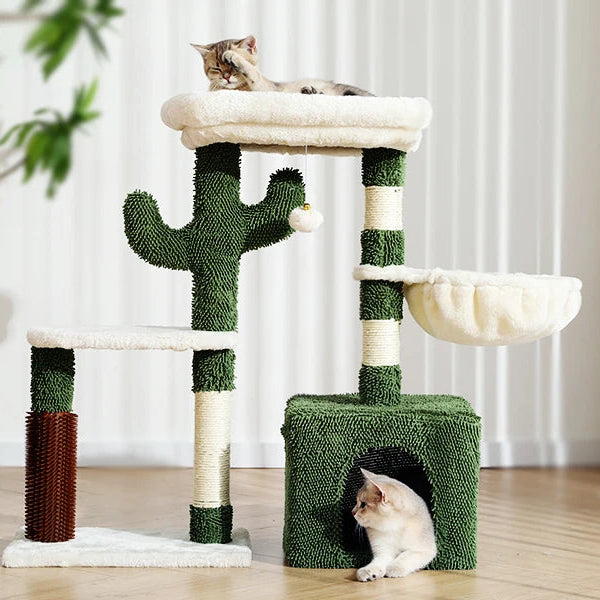 Cat resting in the cozy hammock of the cactus tower