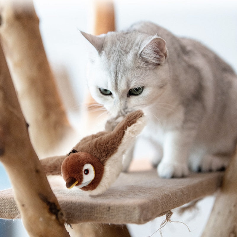 fun indoor toy for cats