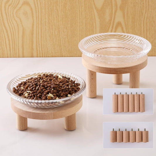 Elevated cat bowls with non-slip base for indoor cats